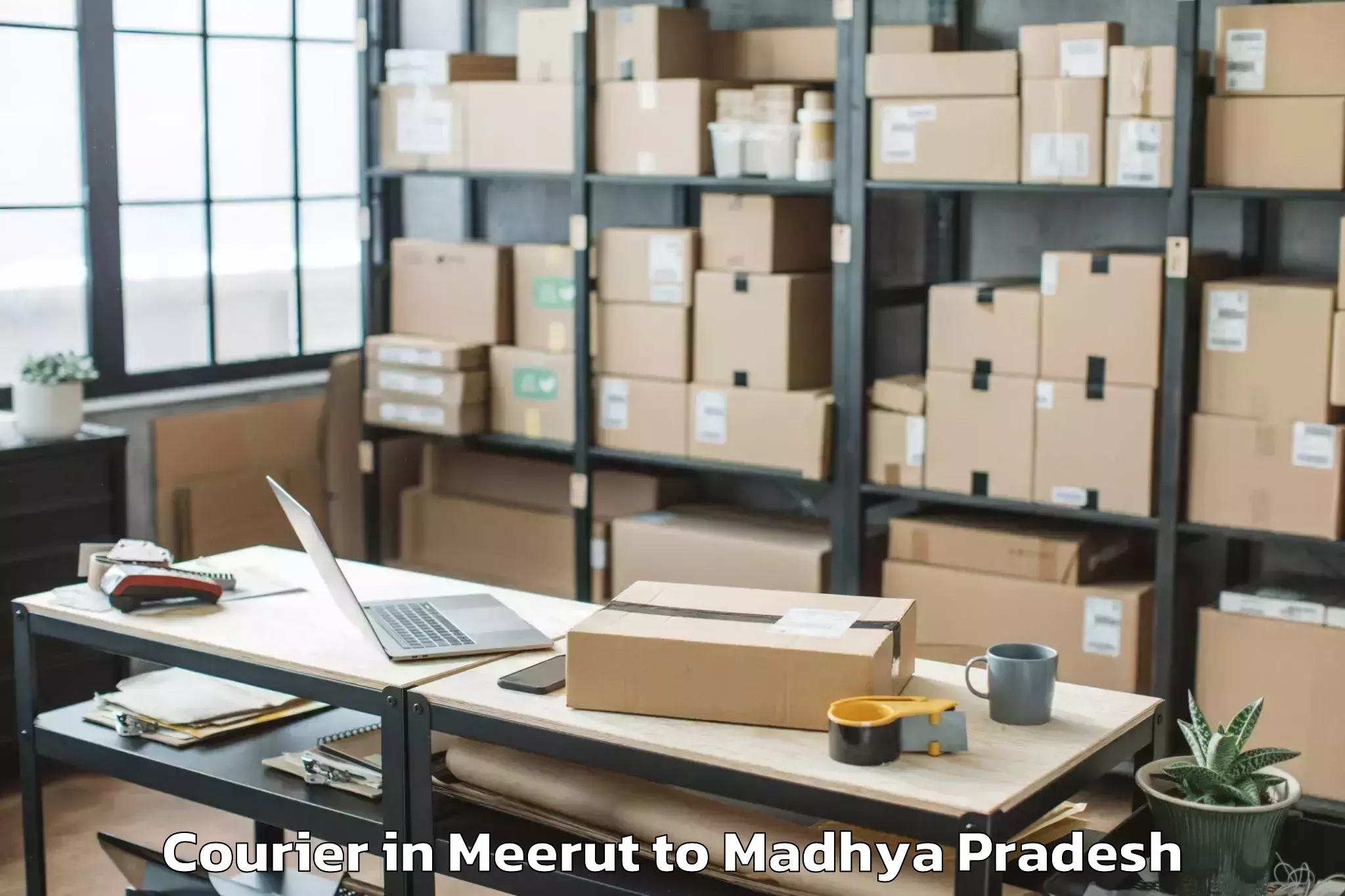 Easy Meerut to Petlawad Courier Booking